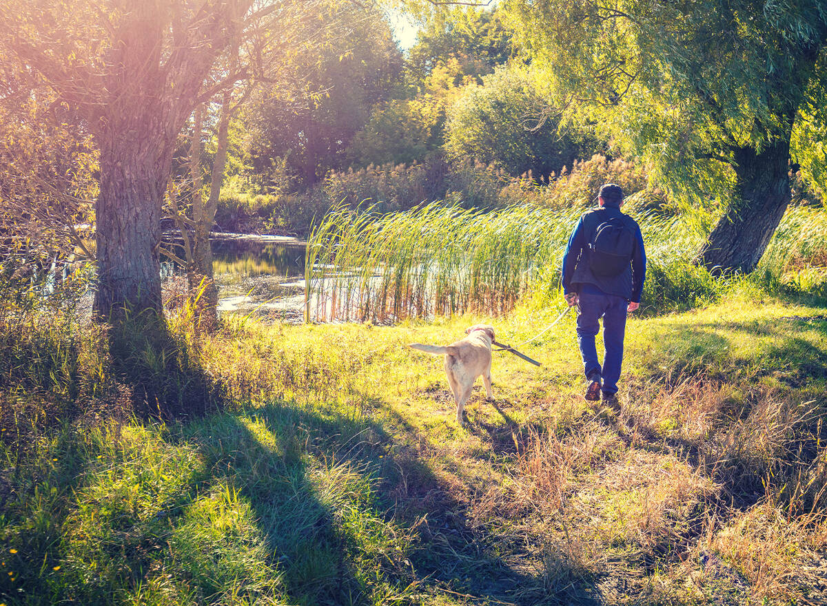A man walking his dog along a sunlit path beside a lake in golden autumn light